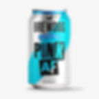 Brewdog Punk AF ipa alcoholfree beer onp5 ondernulpuntvijf