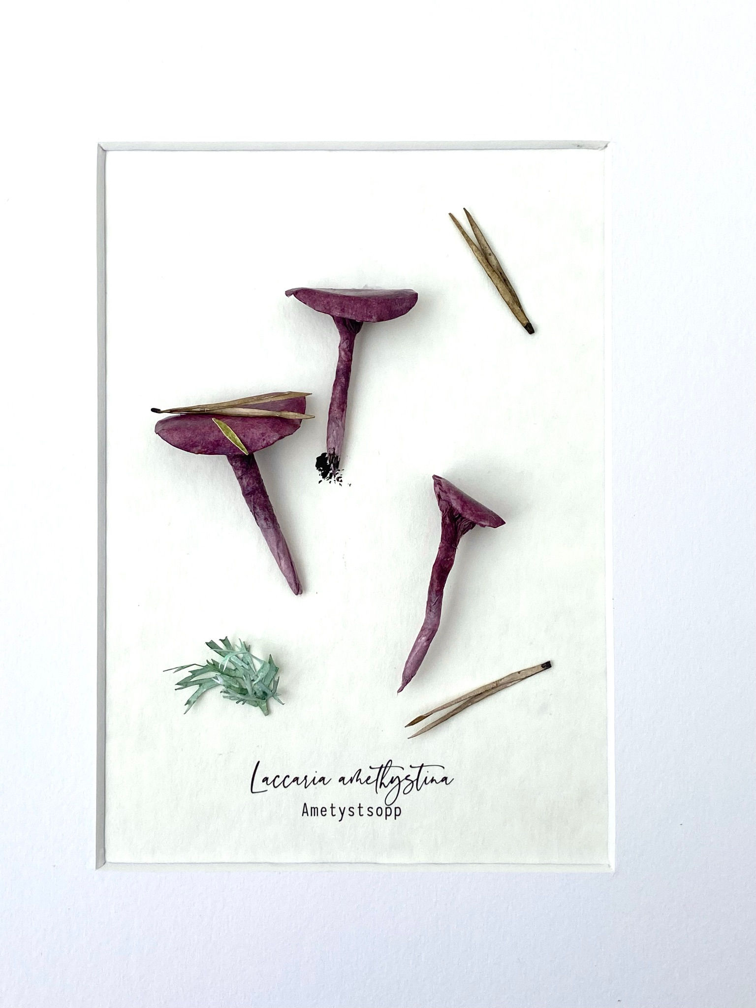 Original kunst papirskulptur sopp av Ann-Helen Børufsen