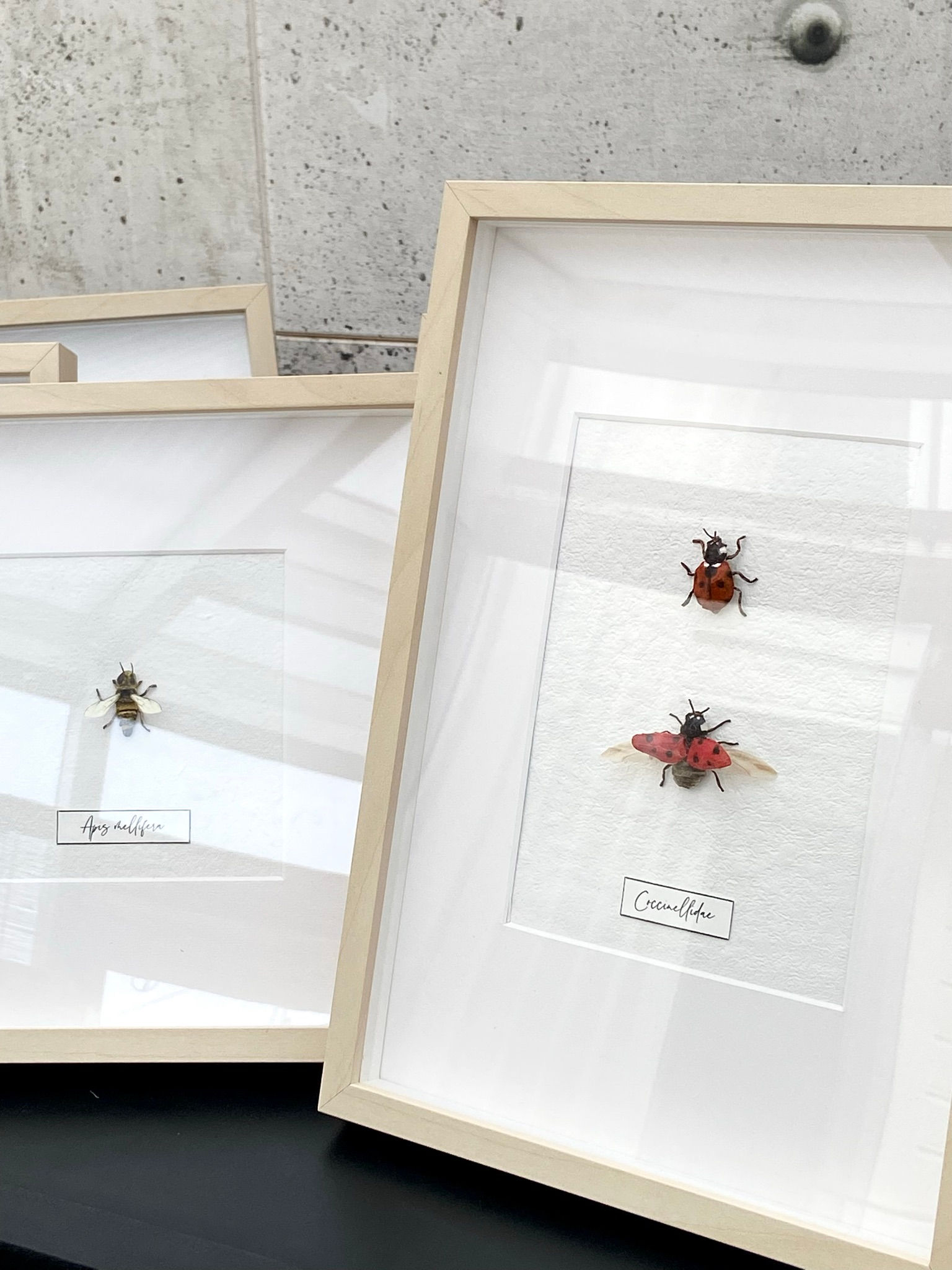 Original papirkunst, papirskulptur, marihøner av Ann-Helen Børufsen