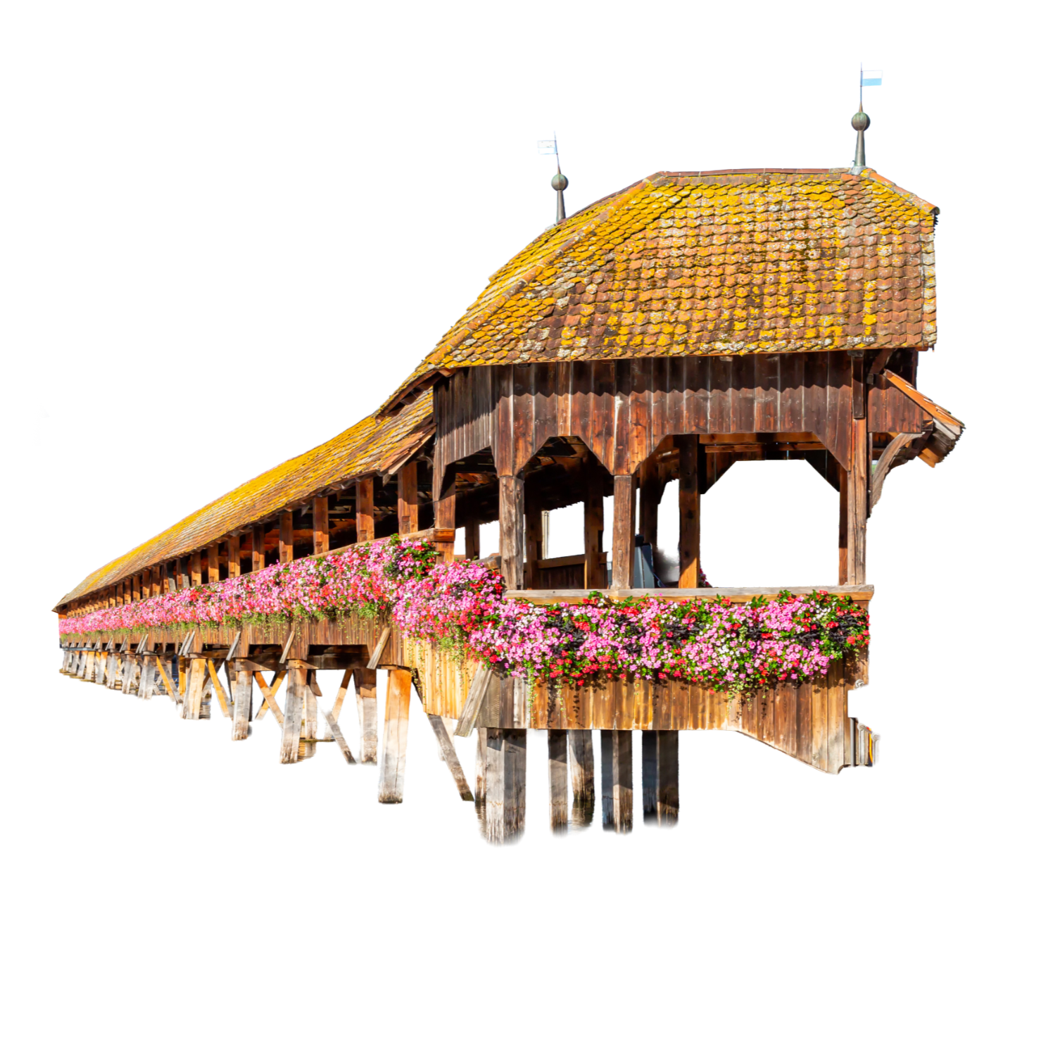 brücke_edited.png