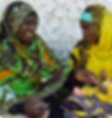 CHWs_Zanzibar_DTree (2).png