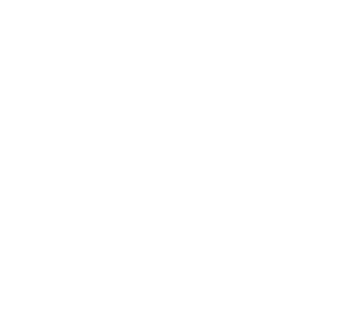 White Cirlce.png