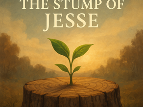 Peace from the Stump of Jesse
