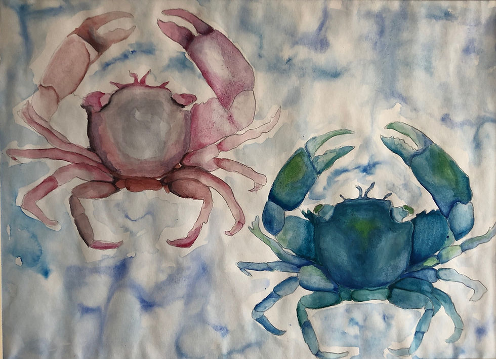 Water Colour Crabs