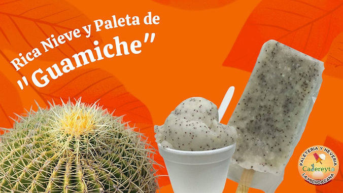 Paleteria y Neveria La Michoacana