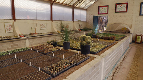 Jardín Botánico Regional de Cadereyta CU_29-min.jpg