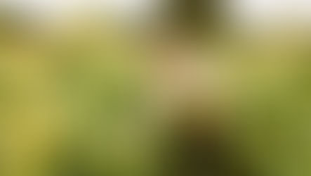 How to Improve Crop Resilience with Microbial Products: Science-Backed Strategies for Drought, Heat, and Stress Tolerance