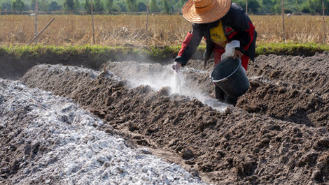 Nano Calcium Fertilizer for Agriculture: Benefits, Uses, and Why Your Crops Need It