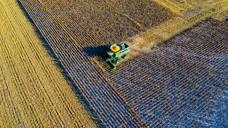 What Is the Recommended Timing and Frequency of Application for Azotobacter vinelandii? A Complete Guide