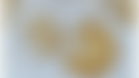 Rhizophagus intraradices: Complete Technical Guide