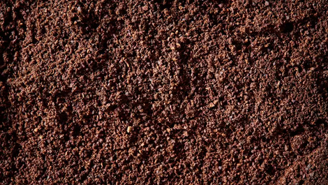 Blood Meal vs. Bone Meal Fertilizer: A Comprehensive Guide to Organic Soil Amendments