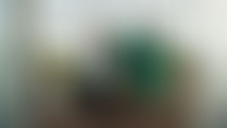 What Is Bacillus Popilliae Used For? The Complete Guide to Milky Disease Biocontrol