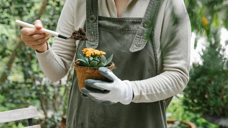 Organic Bloom Fertilizer: A Complete Guide for Better Flowers Naturally