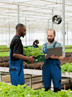 How is Nitrogen Removed from Wastewater? A Comprehensive Guide to Nitrogen Removal Technologies and Processes