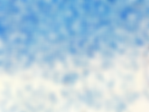 What Are the Health Effects of Penicillium Species?