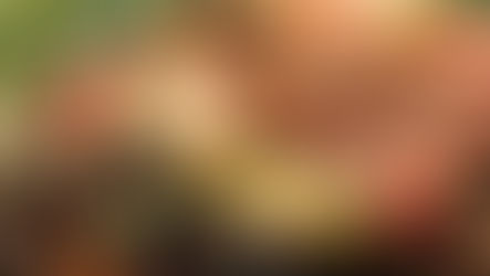 How Does Aspergillus Niger Improve Composting Efficiency? 