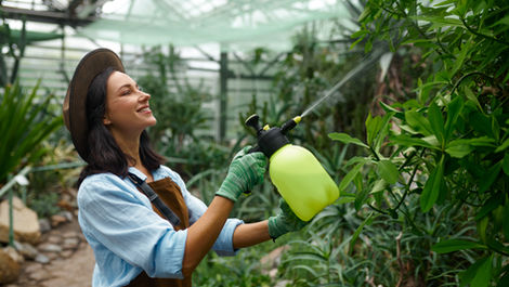How Is Rhizobium Used as Biofertilizer? A Complete Guide for Sustainable Nitrogen Management