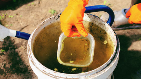 Microbial Wastewater Treatment: Types of Microorganisms, Functions, and Applications for Reclaiming Wastewater