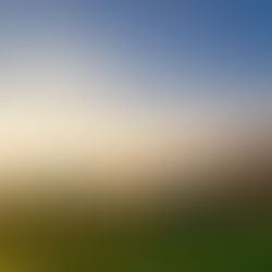 What Are the Environmental Benefits of Microbial Fertilizers? Climate, Water, Soil, and Biodiversity Solutions