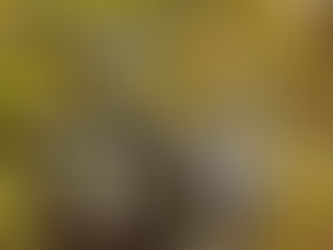 Top 10 beste Dünger für Hanfpflanzen im Jahr 2026