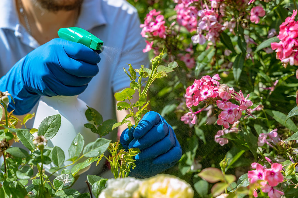 What Is the Best Fertilizer for Flowering Plants? A Complete Guide to Healthy Blooms