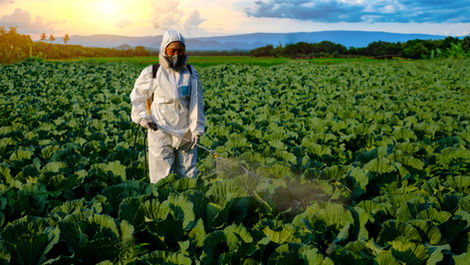 Pesticides for Agriculture: Types, Benefits, Biological Solutions & Sustainable Strategies