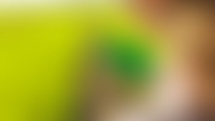 Bacillus circulans: A Multifaceted Microorganism Bridging Agriculture, Industry, and Environmental Sustainability