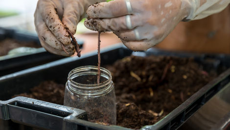 What is Nitrogen Denitrification? A Complete Guide to Understanding This Critical Soil Process