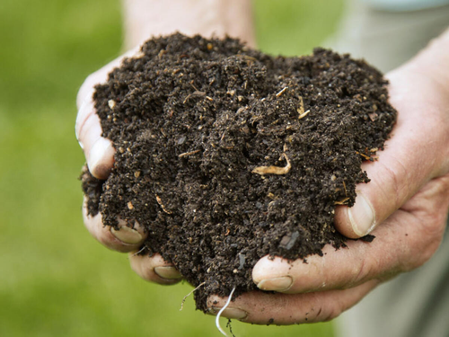 Organischer Dünger: Die natürliche Lösung für gesundes Pflanzenwachstum und nachhaltigen Anbau