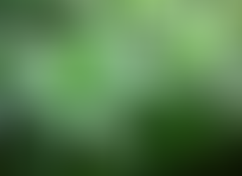 Pflanzendünger - Der umfassende Leitfaden für gesunde Pflanzen