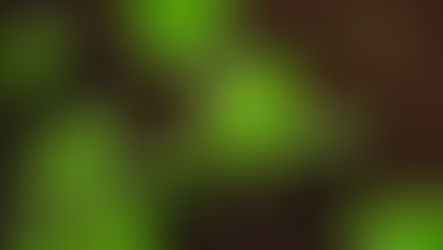 How Lactiplantibacillus Plantarum Improves Soil Microbial Balance