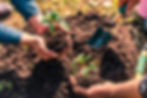 Benefits of Biofertilizers