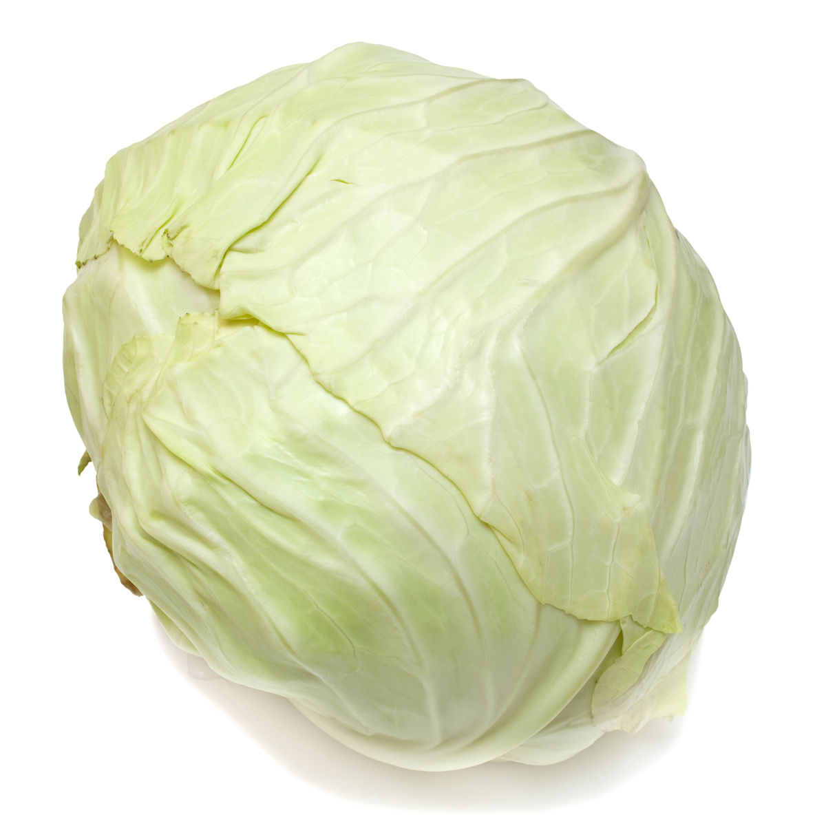 White Cabbage