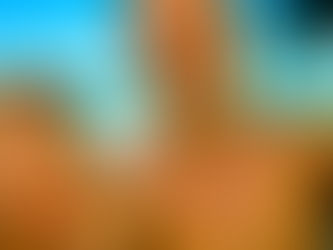 Rooted in Gratitude by the Sea