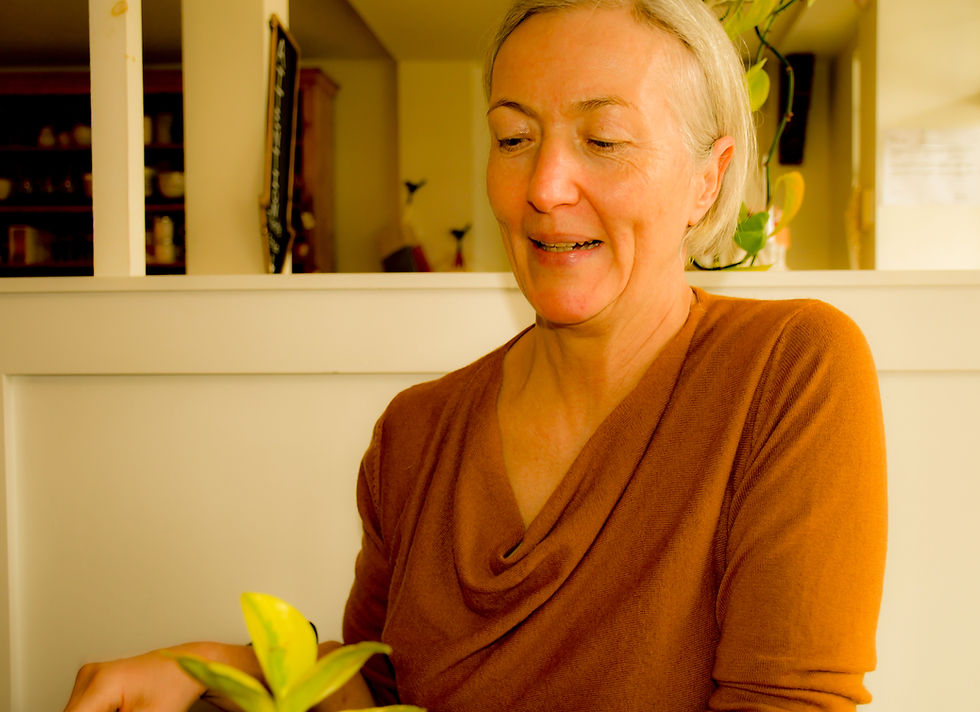 A Mayor with a Sense of Mindfulness