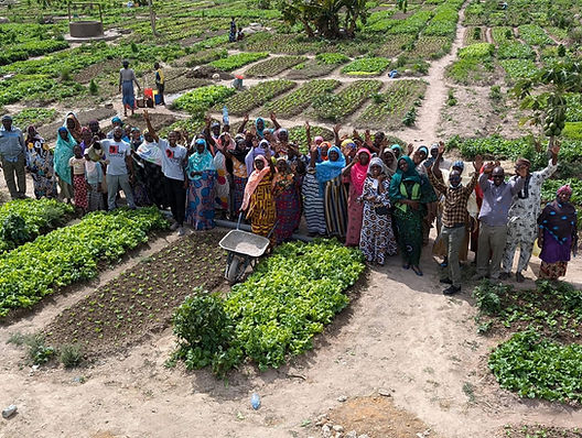 Training beneficiaries on the field with LCA & CNFA Teams