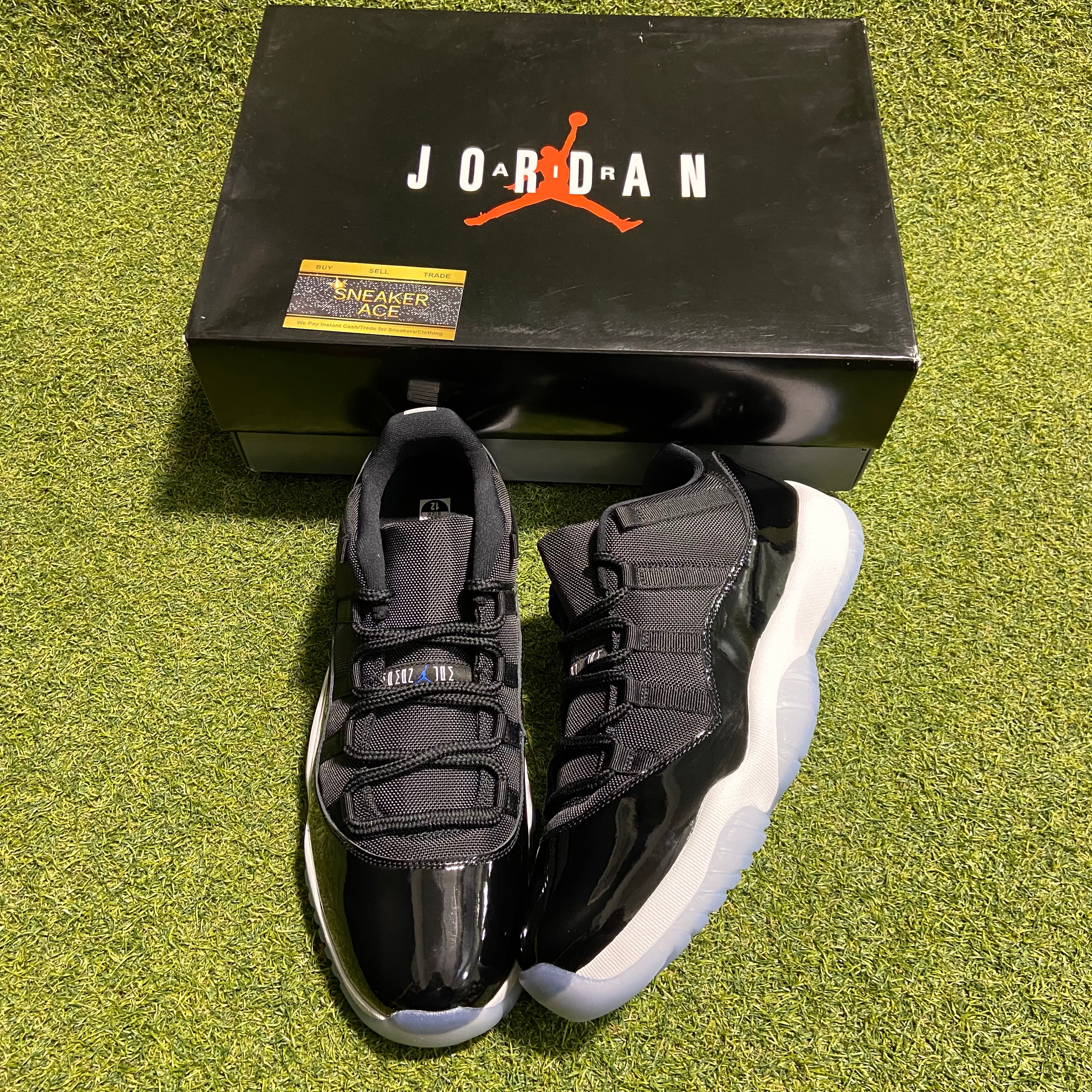 Space Jam Low 11s: 12