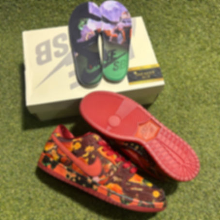 Poppy Field The Wizard Of Oz Dunk Low SB: 13