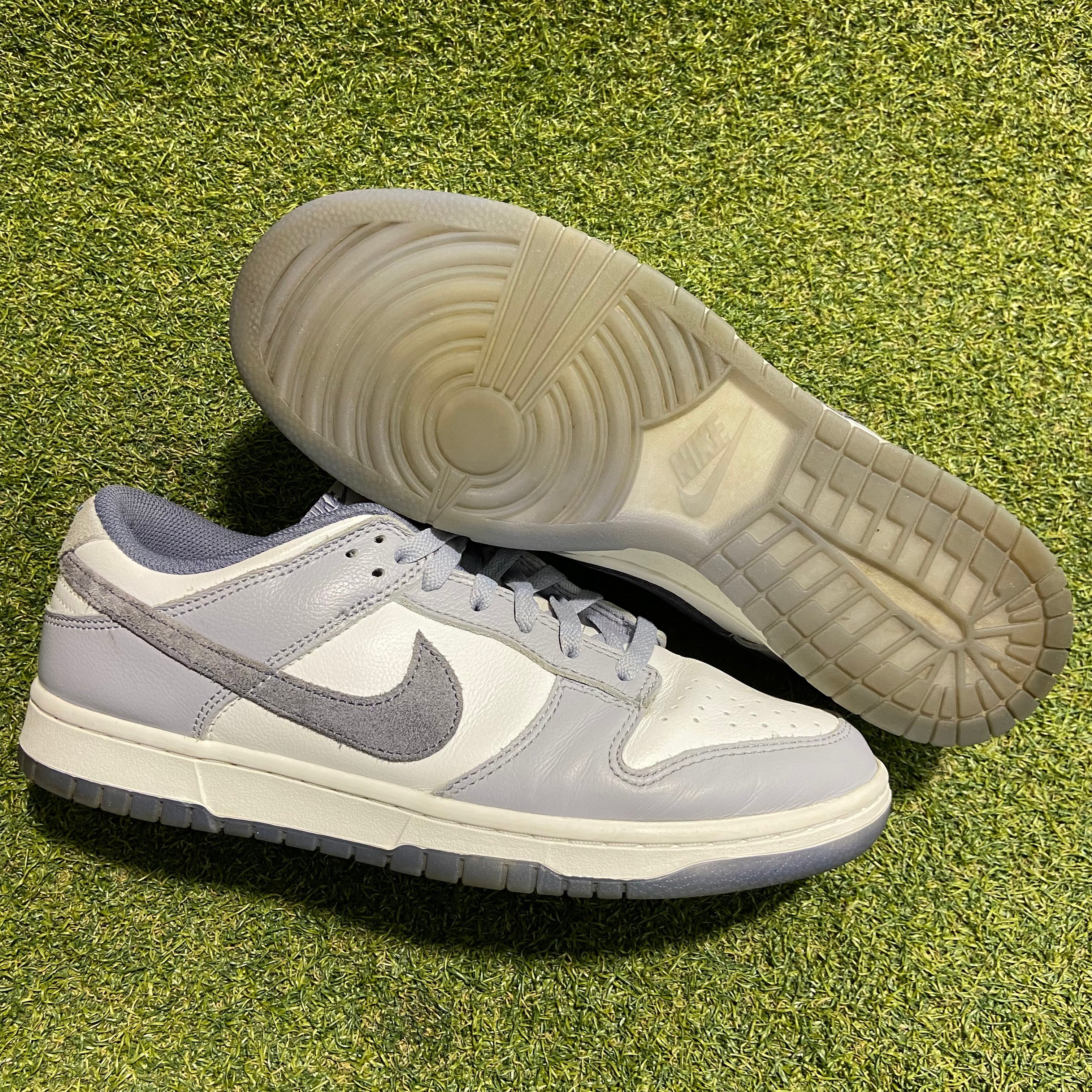 Light Carbon Dunk Low SE: 10