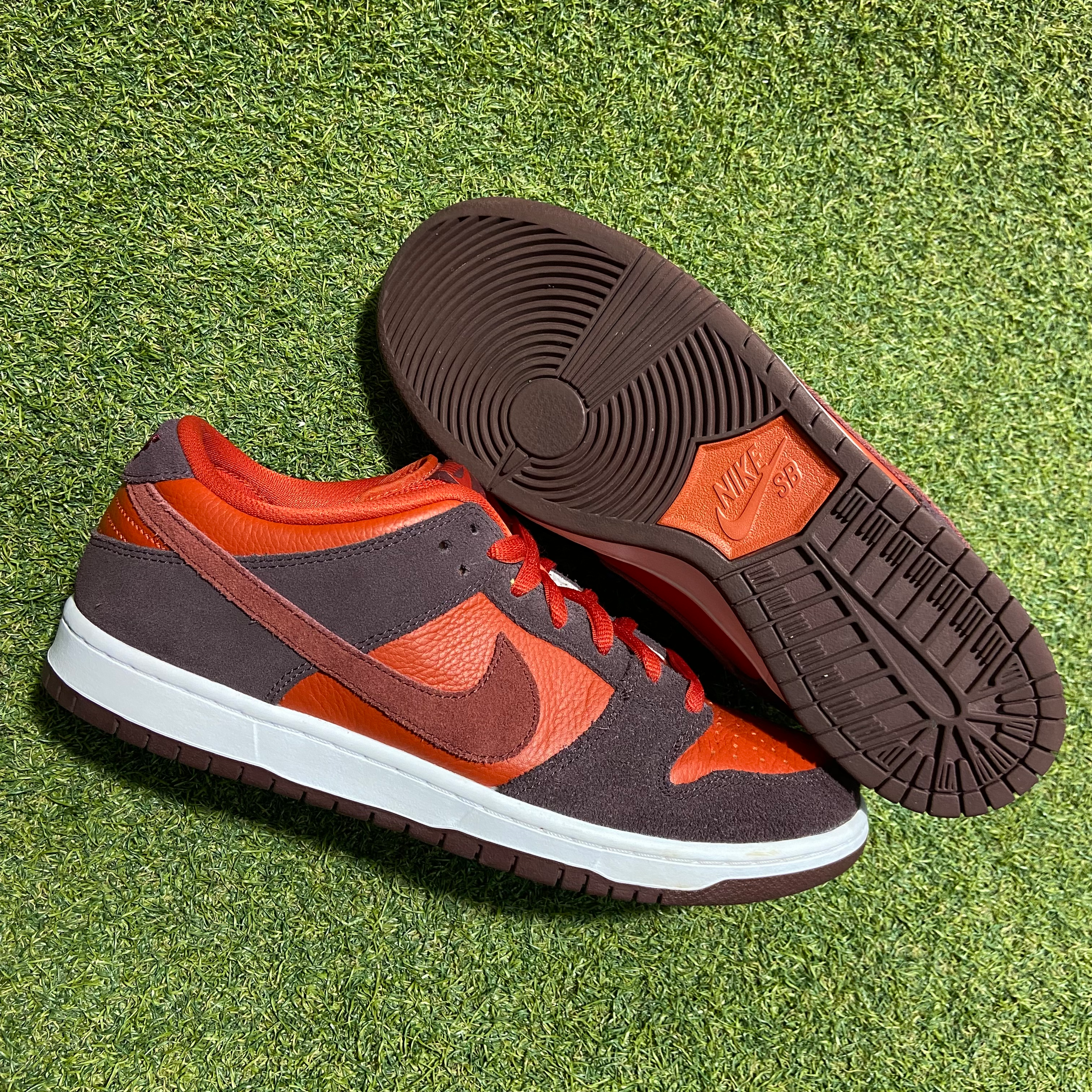 Cherry Fruity Pack Dunk Low Pro SB: 10