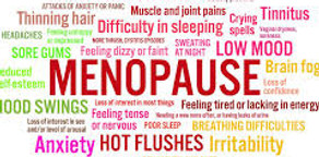 menopause words