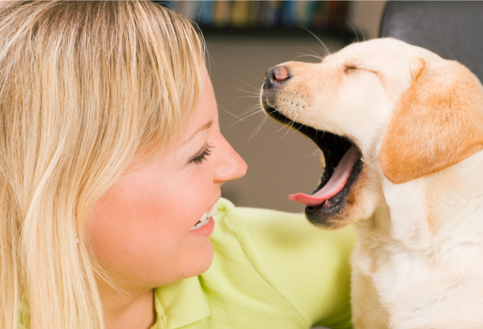 Existen diversos beneficios para los perros en bostezar
