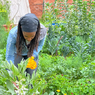 Organic Gardening – Easy Ways To Get Started Today