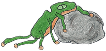 Sleeping green.png