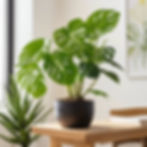 Indoor Plant Healthy.jpg