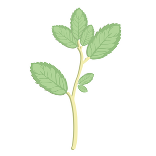 Screenshot 2023-05-09 at 9.17.25 AM.png