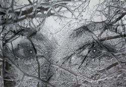 It's Cold And Lonely Without You