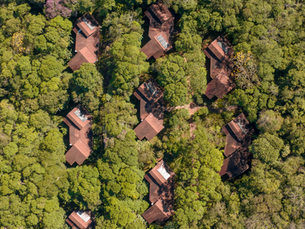 Porque o isolamento na natureza é a tendência de viagem para 2026