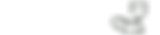 corpus.png