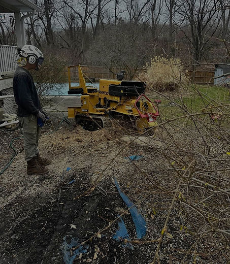 Stump Grinding in Ellicott City, MD